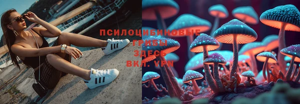марки nbome Алексеевка